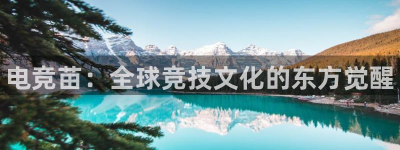 蜂鸟电竞怎么看比赛：电竞苗：全球竞技文化的东方觉醒